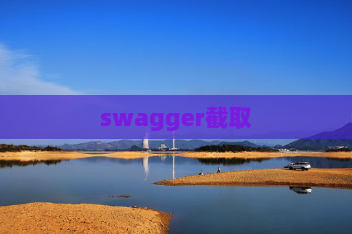 swagger截取